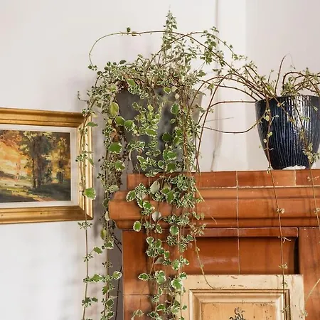 Theatre Art דירה בראשוב